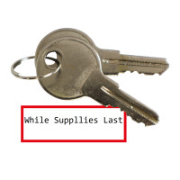Replacement keys round for GfS Exit Control (2 pcs)