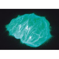 Zink sulvide pigment 8B Blue